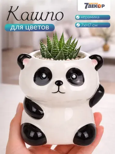 Горшок кашпо керамическое для для суккулентов кактусов орхидей маленькое 7xH7 см