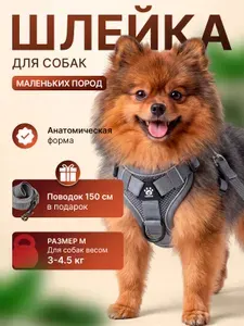 Шлейка анатомическая регулируемая M для выгула мелких пород собак