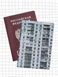 Обложка на паспорт, чехол с принтом панельки