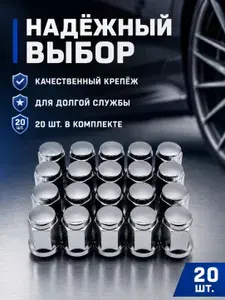 Гайка автомобильная, 10 мм, 20 шт.