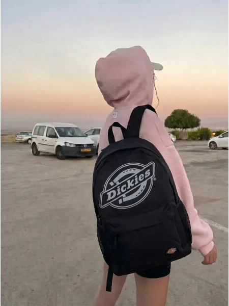 Dickies Рюкзак школьный спортивный для подростка
