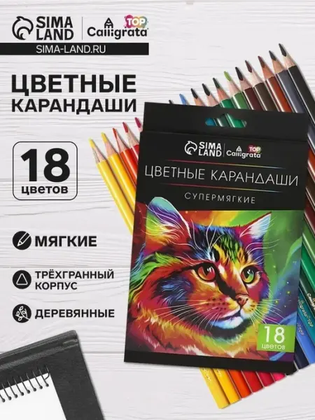 Мастерский набор цветных карандашей для творчества