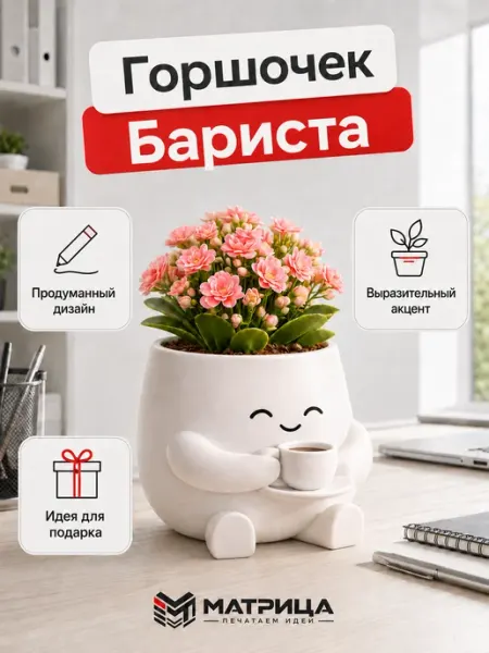 Горшок для кактусов и суккулентов