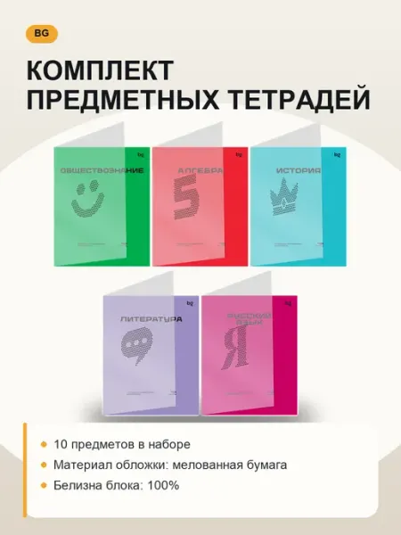 Комплект предметных тетрадей 48 листов А5 в клетку для школы BG