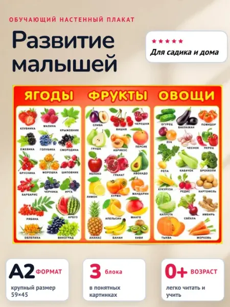 Плакат для детей фрукты ягоды овощи обучающий детский ФДА.card