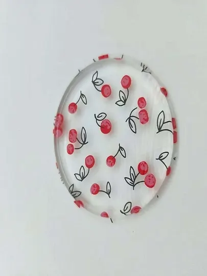 Силиконовая губка для макияжа, многоразовая, удобный держатель