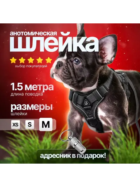 PetPaw Discount Шлейка для собак средних пород регулируемая