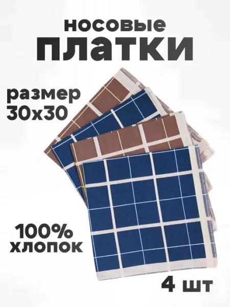 Платок носовой мужской набор 4 шт TrendyKost