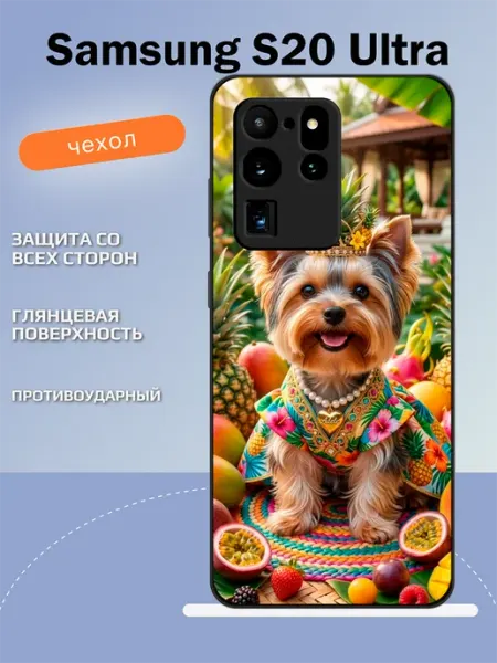 Чехол на Samsung S20 Ultra Йорк TipTopShop