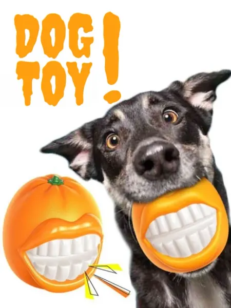 Неубиваемая игрушка для собак с пищалкой DOG TOY