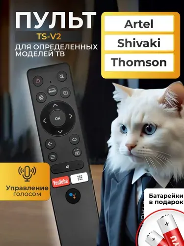 Голосовой пульт RC890 TS-V2 для Smart телевизоров Thomson, Artel и Shivaki. В комплекте с батарейками HBT067