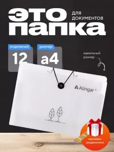 Папка органайзер для документов А4 канцелярская