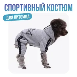 Спортивный костюм для животных "Адидог" серый L