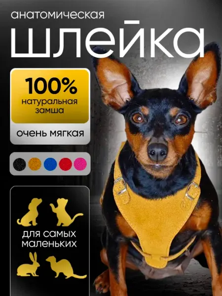 Dober-Крут Шлейка для собак мелких пород анатомическая