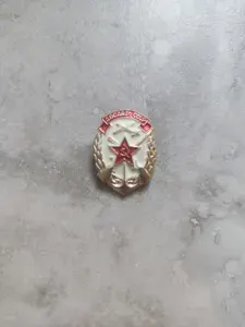 Значок "ДОСААФ СССР", нагрудный, металлический