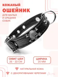 Кожаный ошейник с декоративными черепами (обхват шеи 26-33 см) для малых и средних собак / Чёрный