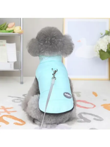 Dog luck жилетка для собак и кошек
