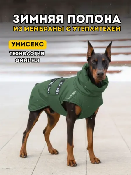 Rain Dog Попона жилет зимний для собак из мембраны авокадо