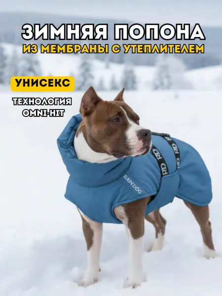 Rain Dog Попона жилет зимний для собак из мембраны синий джинс