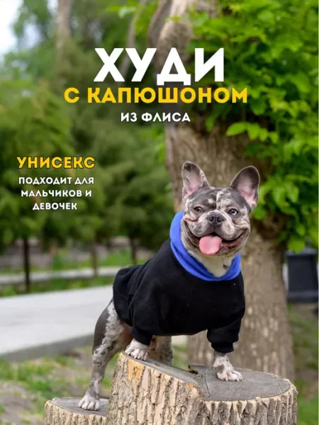 Rain Dog Худи для собак мелких пород