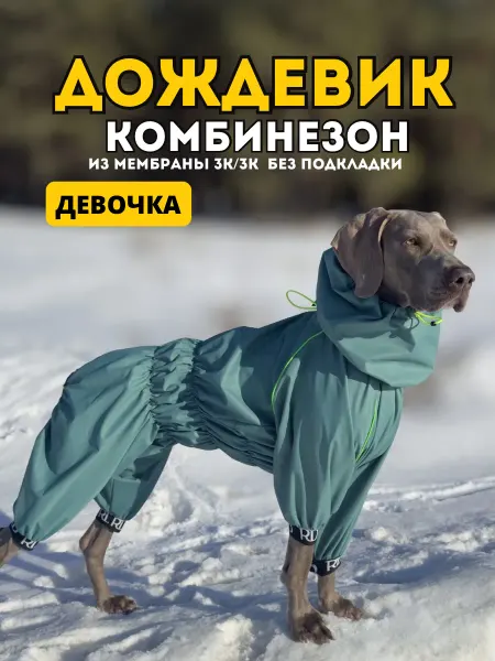 Rain Dog Комбинезон-дождевик для собак "Торнадо" мужской малахит