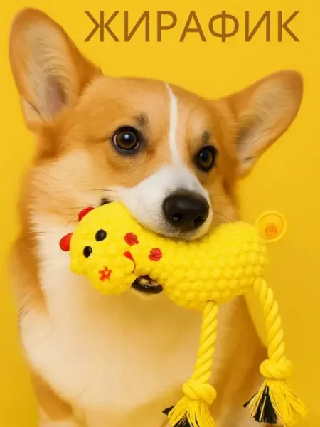 World of dog Игрушка для собак и щенков с пищалкой и ножками канатиками