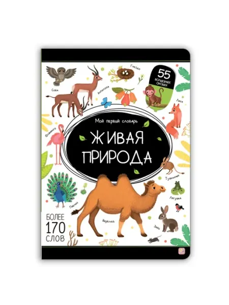 Мой первый словарь. Живая природа Учёный кот