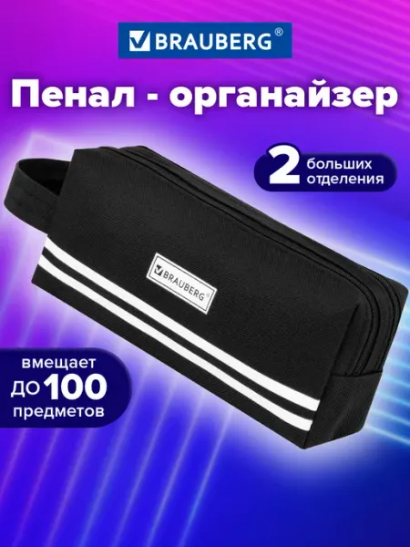 Пенал органайзер школьный для карандашей и ручек 2 отделения Brauberg