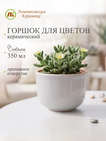 Горшок для цветов керамический, объем 350мл, цвет белый, d 9см