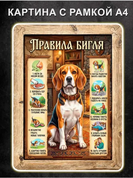 Картина Правила Бигля, постер в рамке, А4 Boberbox