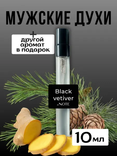 Духи стойкие мужские taNOTE