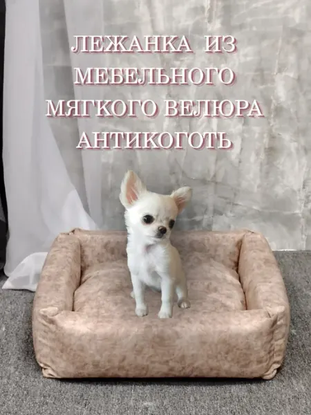 Лежанка для кошек и собак маленьких пород ЛидерТент
