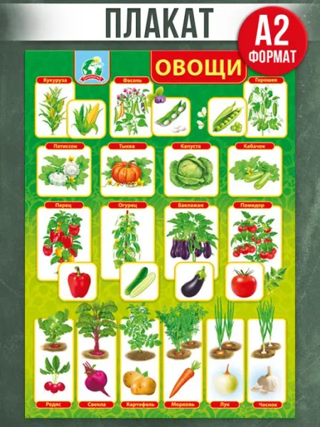 Обучающий плакат по окружающему миру Овощи, в детский сад ТМ Мир поздравлений
