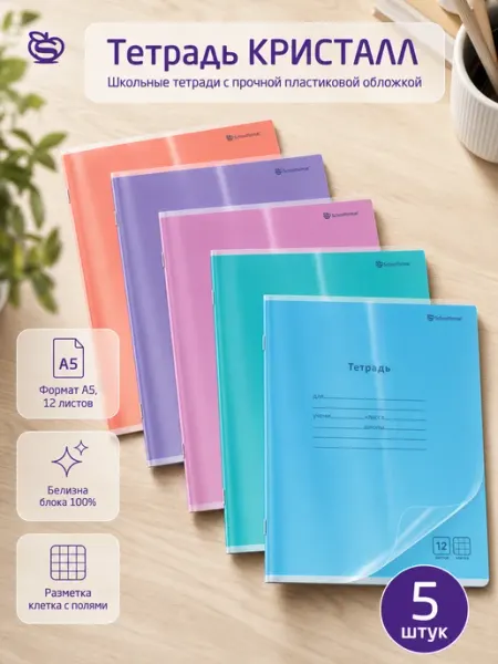 Тетради школьные в клетку 12 листов А5 Schoolformat