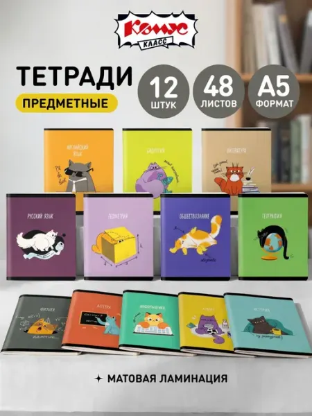 Набор предметных тетрадей 48 листов А5 в клетку и линейку