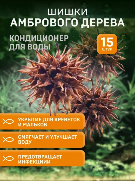 Ms.Dranica Шишки Амбрового дерева для аквариума