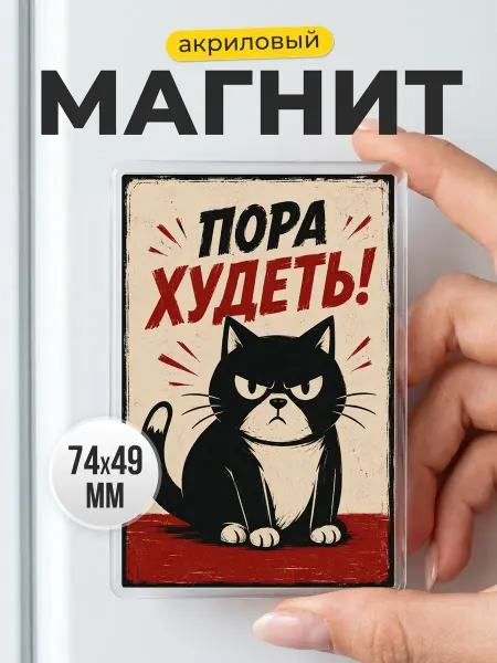 Магнит кухонный с котом на холодильник - подарок другу
