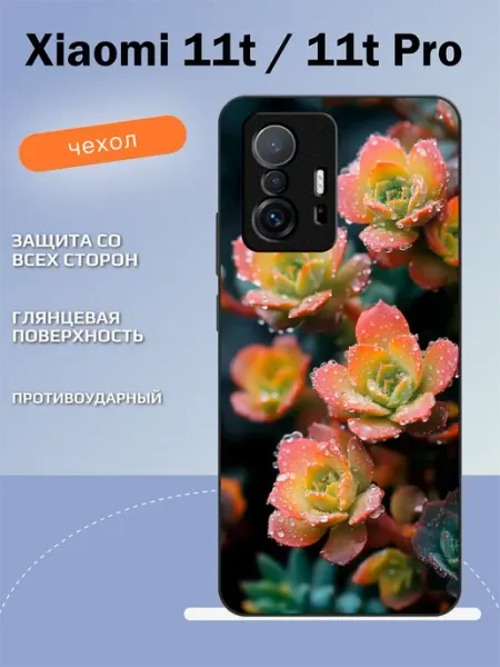 Чехол на Xiaomi 11T седум TipTopShop