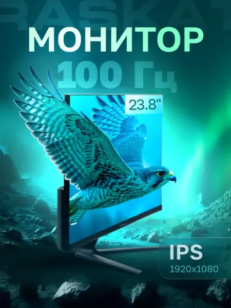 23.8" Монитор I24F10DA, IPS,1920x1080, 100Hz, черный Raskat