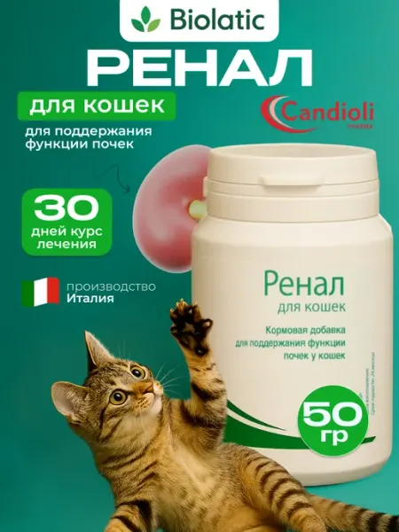 Ренал для кошек кормовая добавка для почек, 50 г Ренал Адванс Candioli