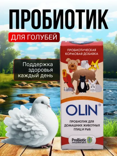 Пробиотик для голубей здоровье жкт концентрат 1 гр Хитрый крыс