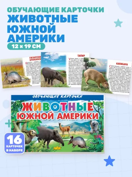 Животные Южной Америки (Обучающие карточки)