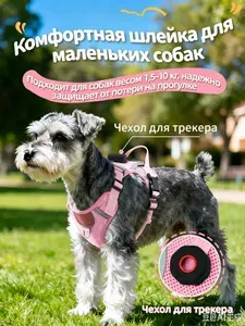 Duomm нагрудник для кошек и собак малого и среднего размера с ошейником, усиленным силиконом, серый