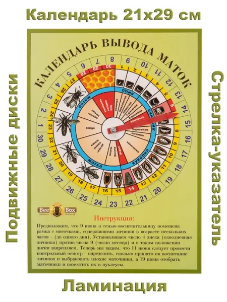 Календарь вывода маток, матковода Bee-box