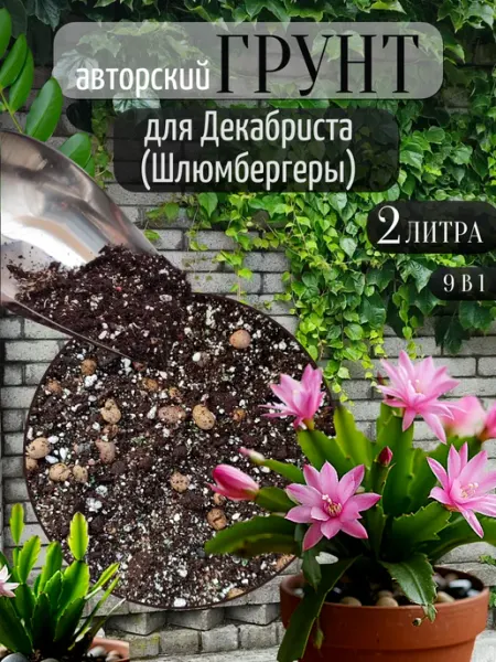 Грунт для Декабриста Шлюмбергеры 2 л ecotorg