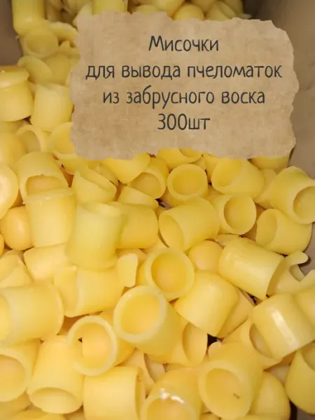 Мисочки для вывода маток из забрусного воска Пасека Эллерт