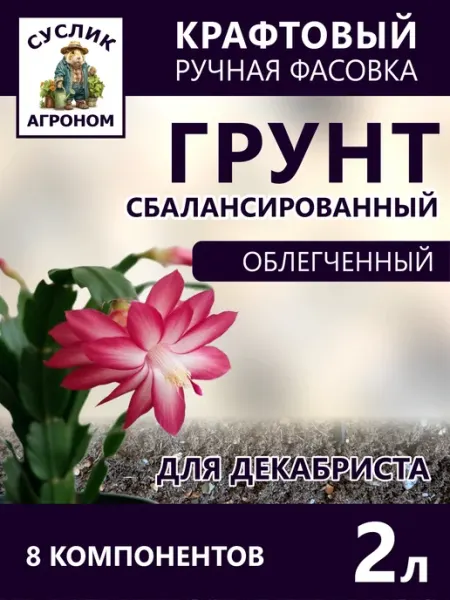 Грунт для Декабриста 2л облегченный, сбалансированный
