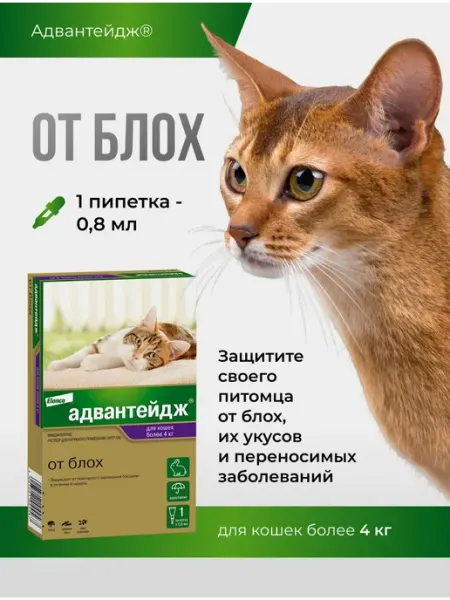 Адвантейдж для кошек более 4 кг, уп. Х 1 пип Elanco