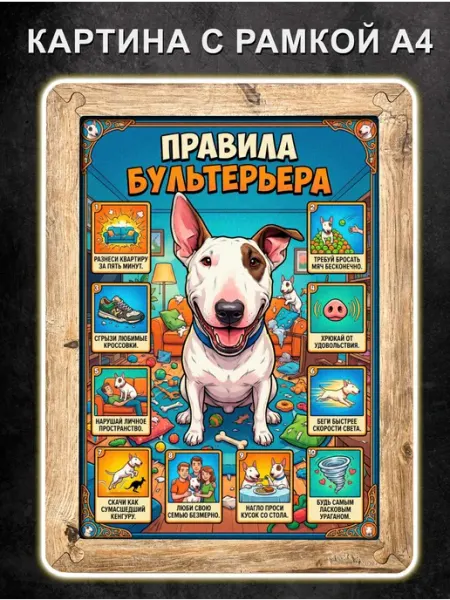 Картина Правила Бультерьера, постер в рамке, А4 Boberbox