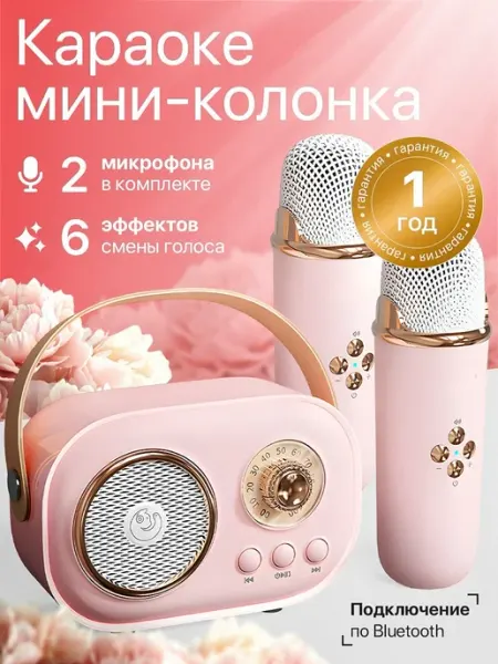 Караоке-колонка с 2 микрофонами—подарок для детей и взрослых Mimishno